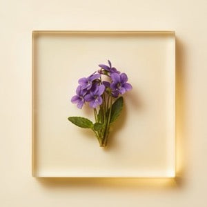 Violet Leaf