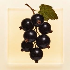 Blackcurrant