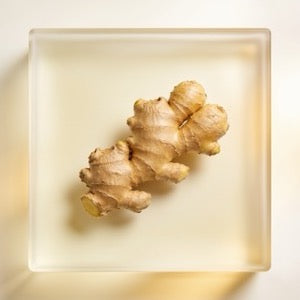 Ginger