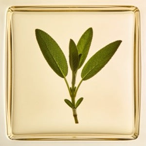 Sage