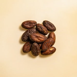 Tonka Bean