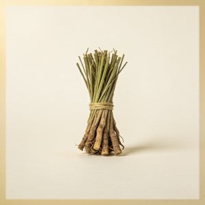 Vetiver